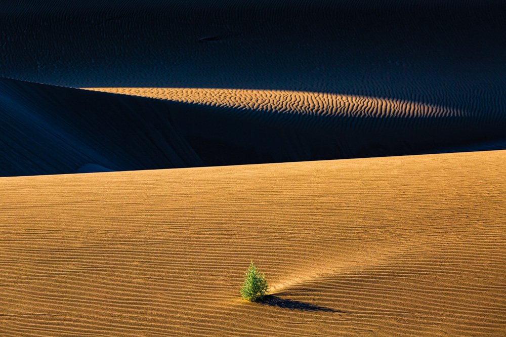 Photograph by majid hojati