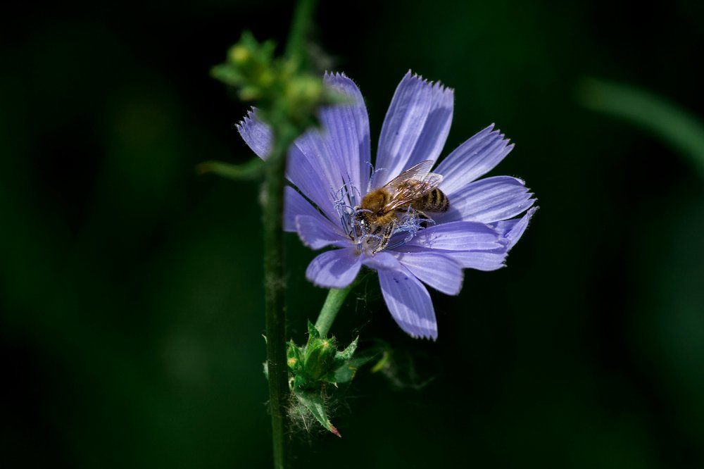 Photograph by Катерина Ровенская