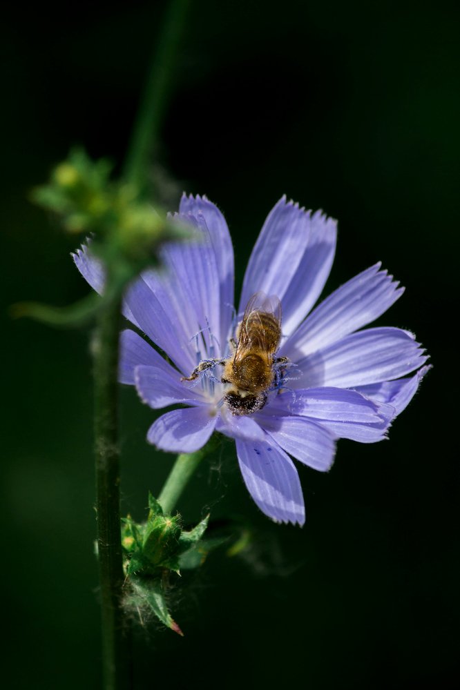 Photograph by Катерина Ровенская