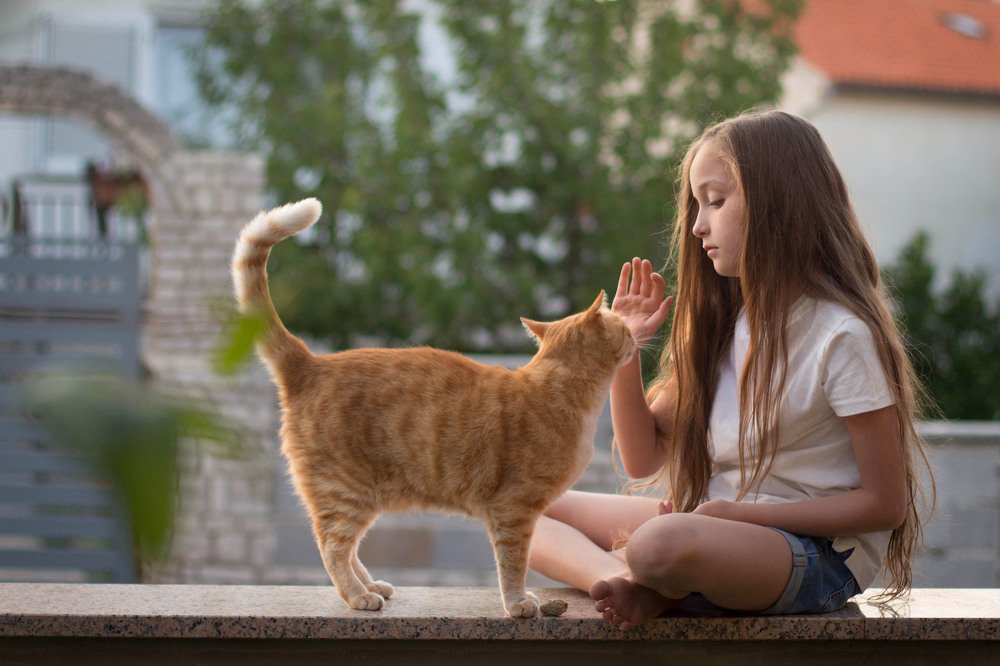 Фотография автора Екатерина Русина