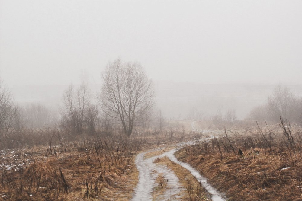 Photograph by Виктория Шлёпина