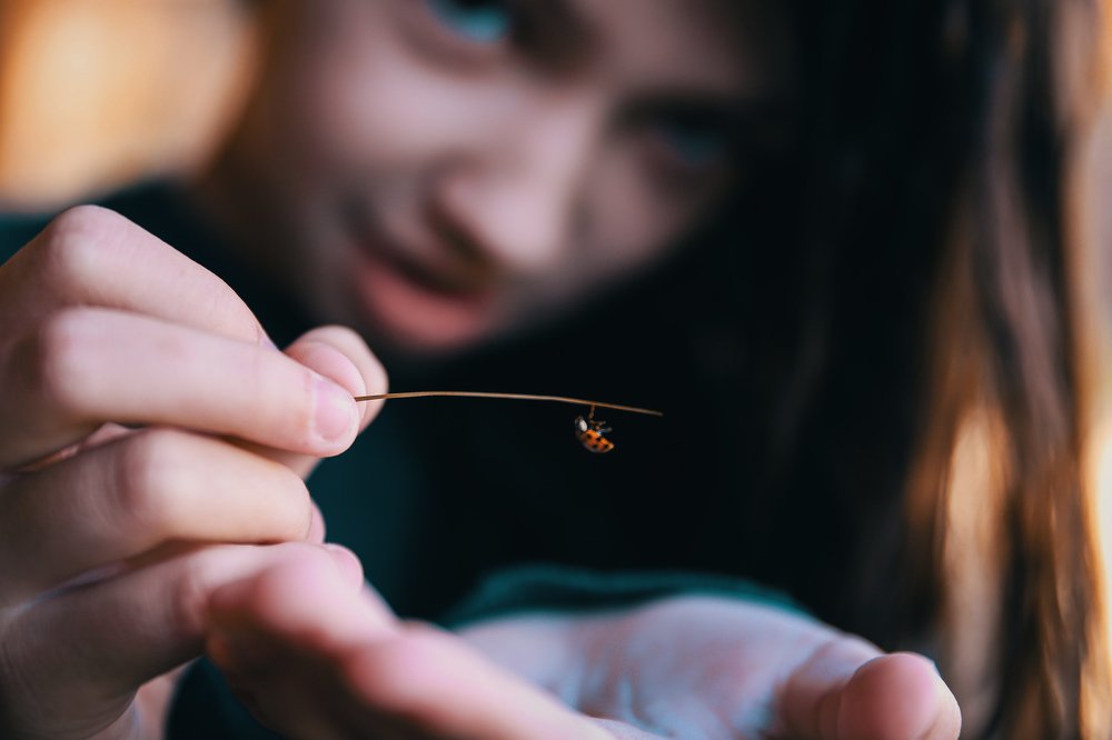 Photograph by Виктория Баженова