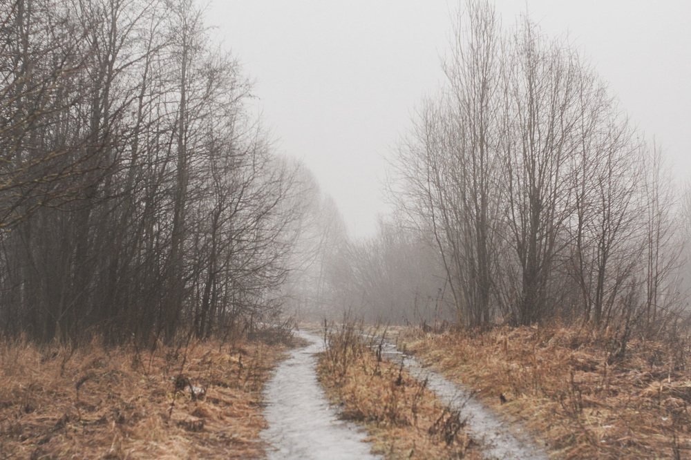 Photograph by Виктория Шлёпина