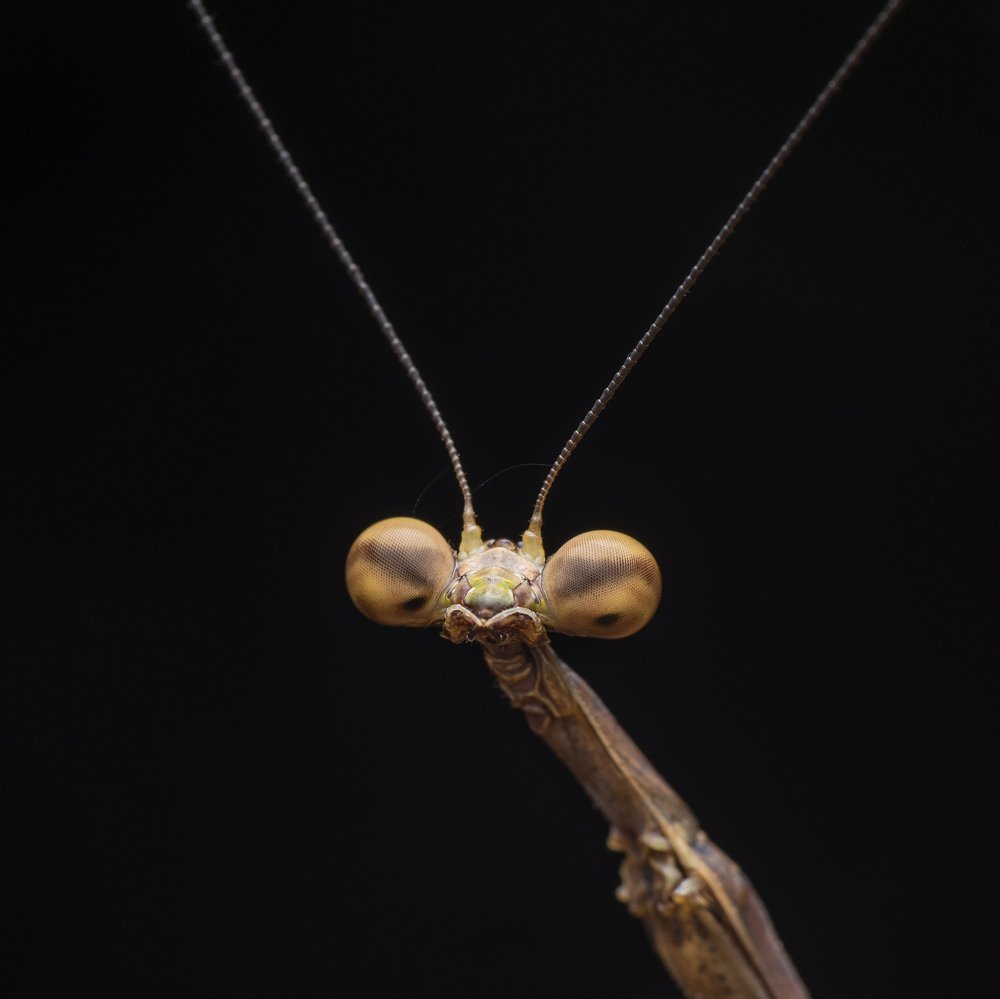 Photograph by Ng Max