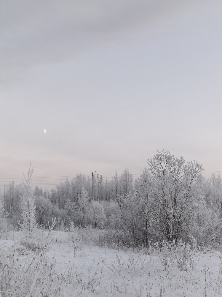 Photograph by Виктория Шлёпина