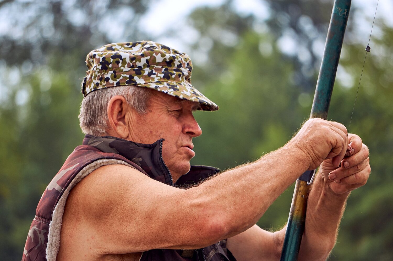 Photo #5359700