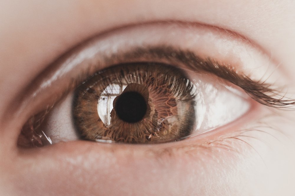 Photograph by Виктория Шлёпина