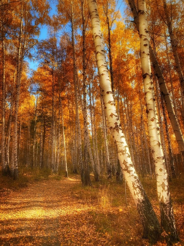 Photograph by Юлия Субботина