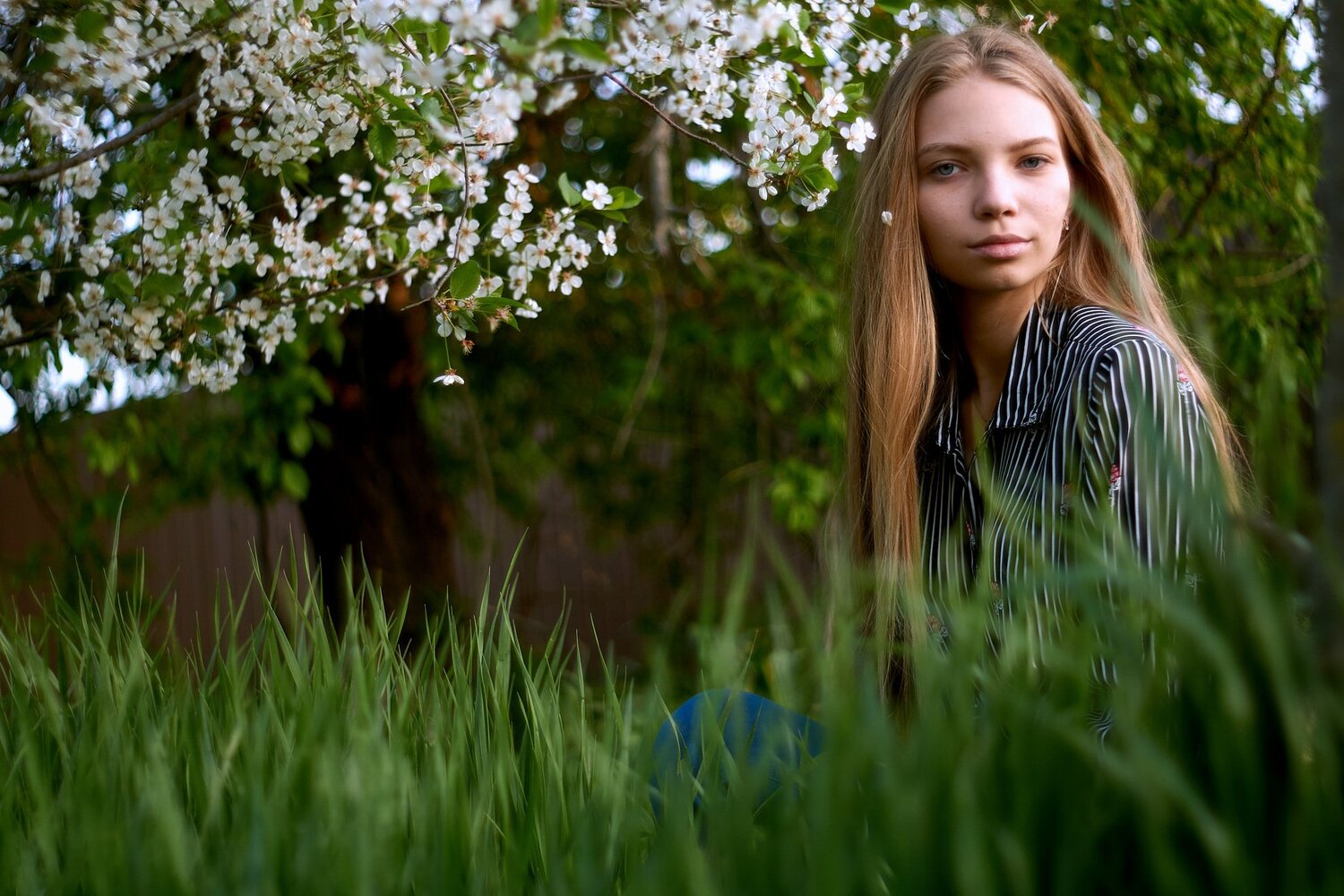 Photo #5359777