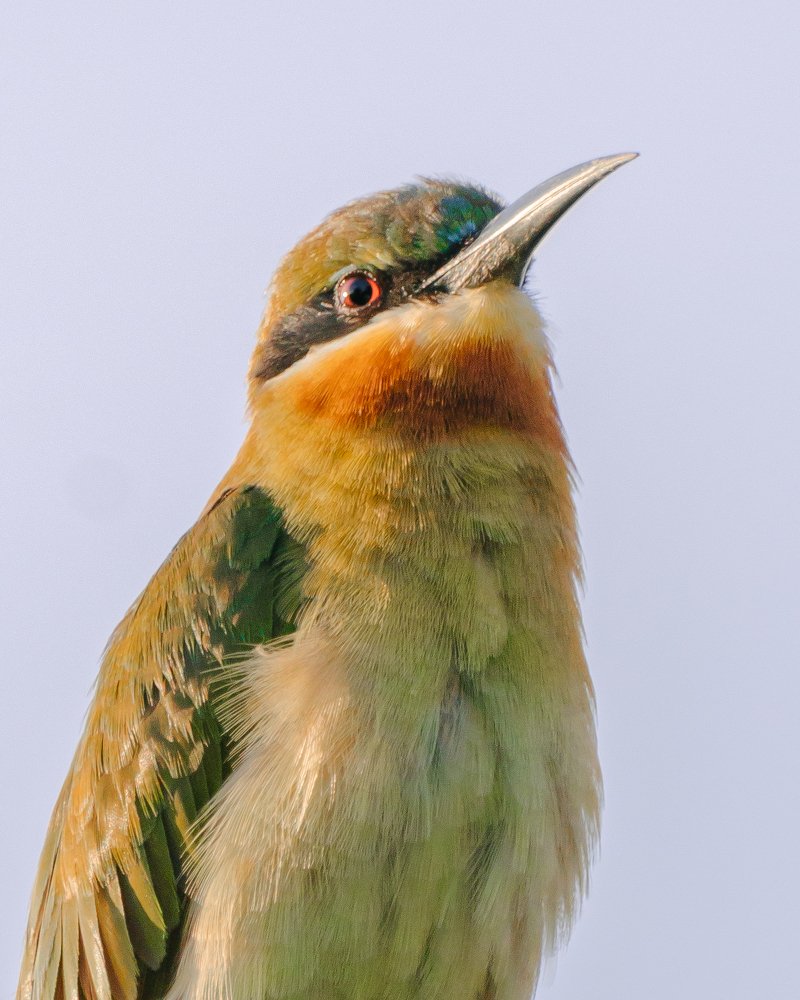 Photograph by Methum Kumarasinghe