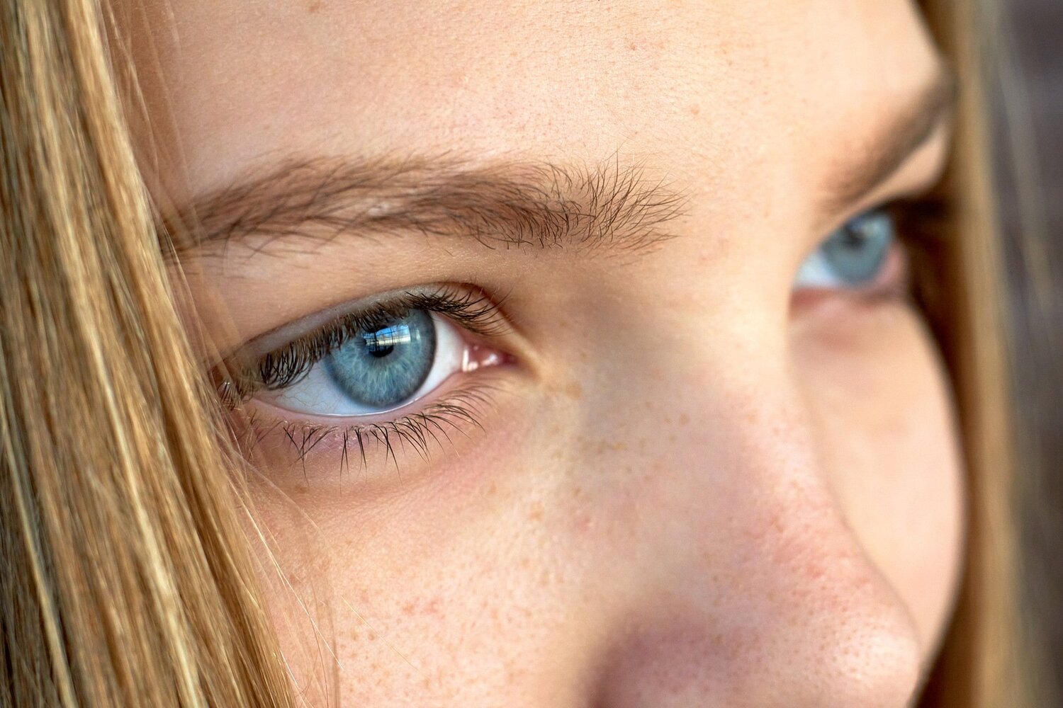Photo #5359798