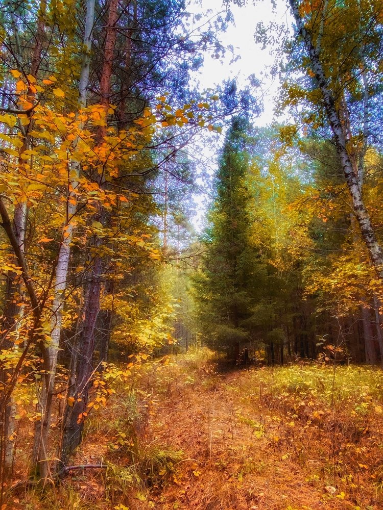 Photograph by Юлия Субботина