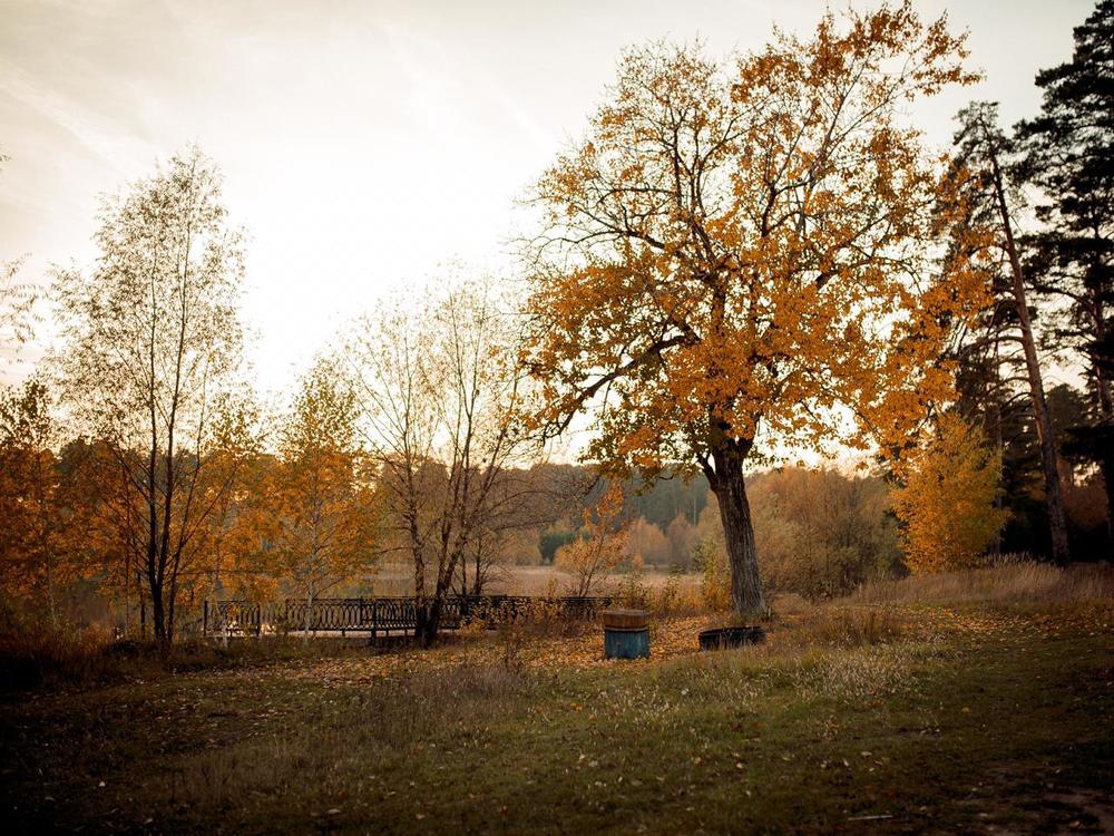 Photograph by Зульхиза Миндиахметова