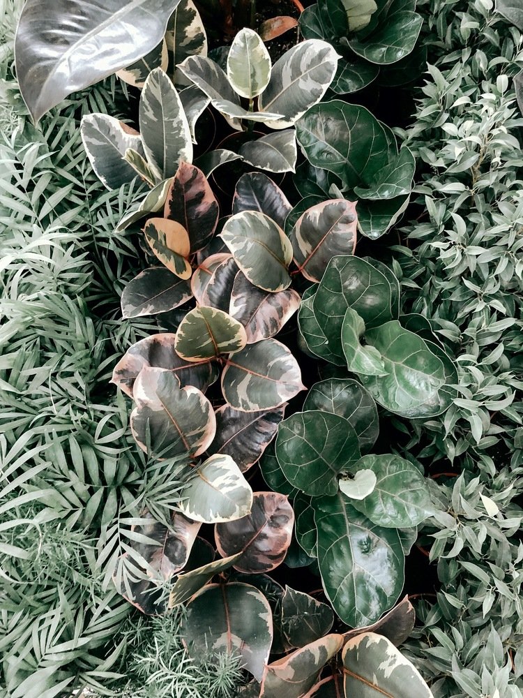 Photograph by Надежда