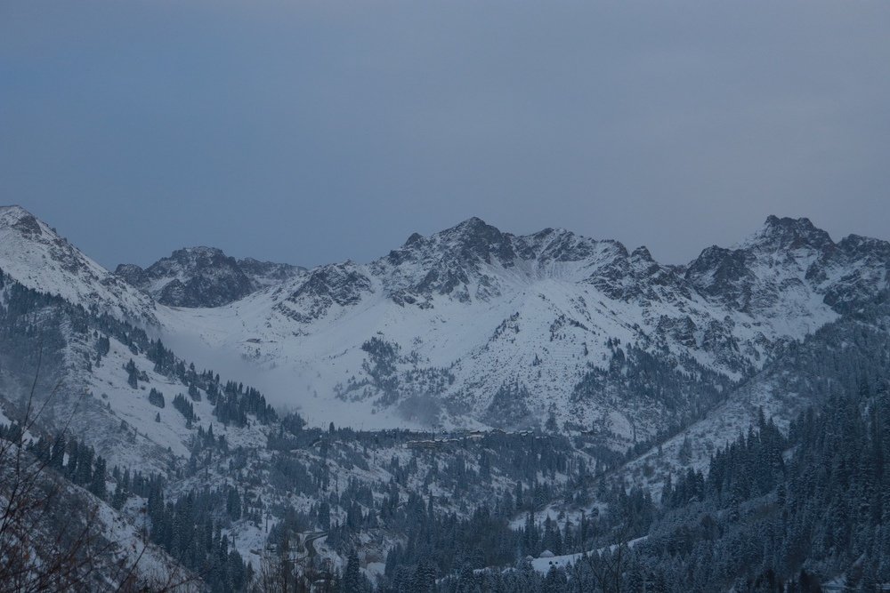 Photograph by Элина Купцова
