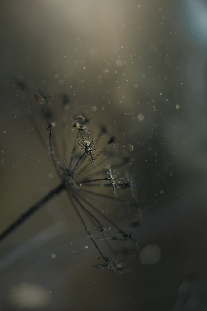 Обмен энергией