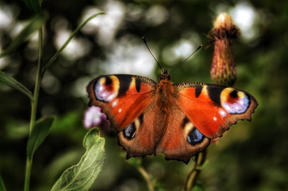 Photograph by Юлия Субботина