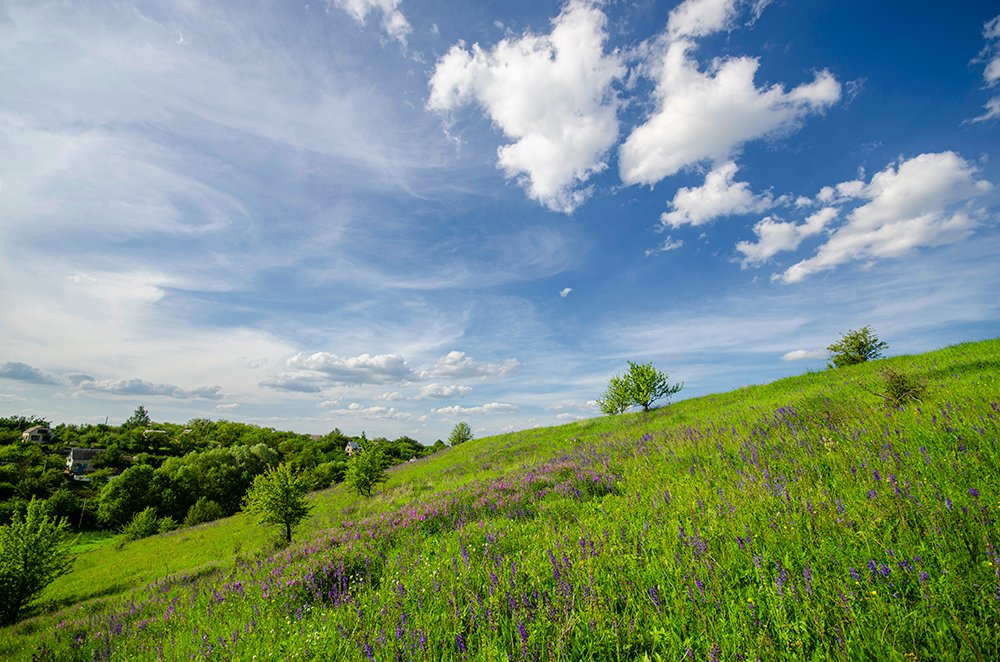 Photograph by Vasily Zhivitsa