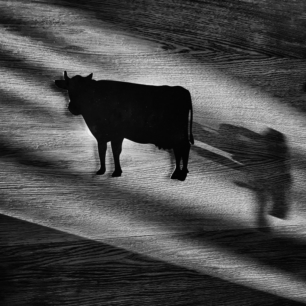 Photograph by Евгений Денисов