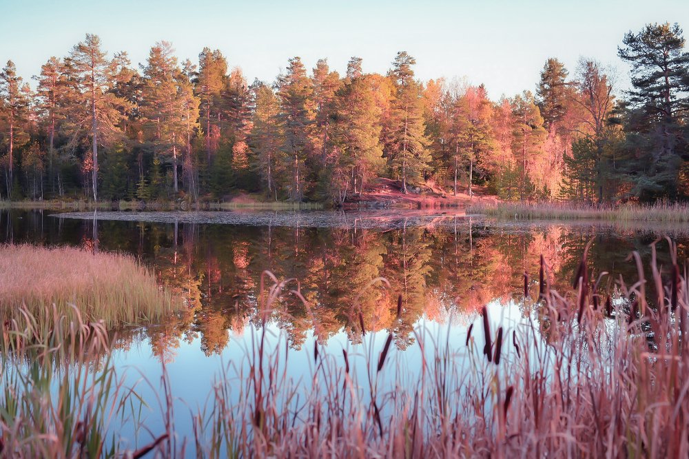 Фотография автора Anna NovaLova