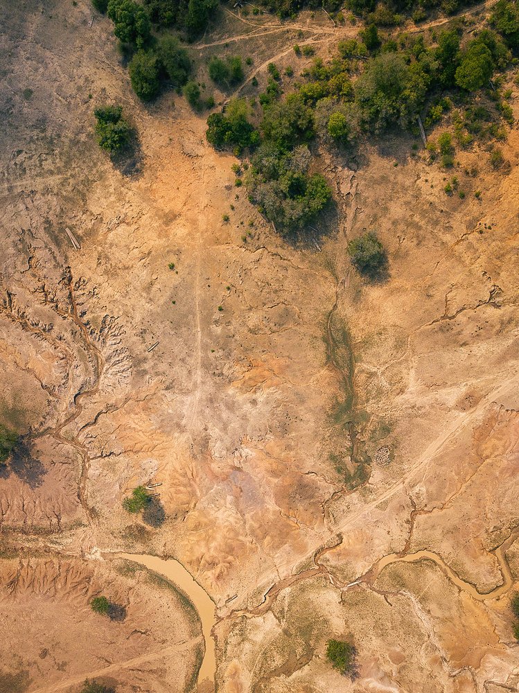 Photograph by Юрьева Ольга