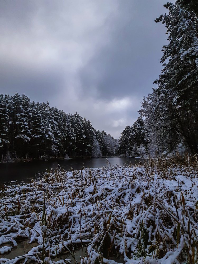 Photograph by Оксана Соборова