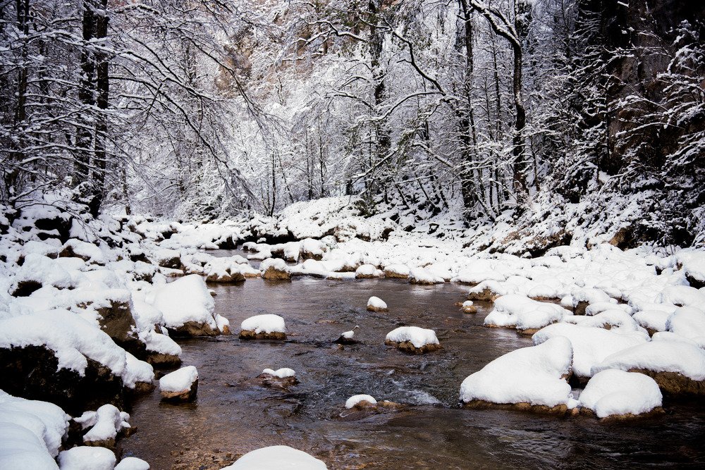 Photograph by Михаил Кравченко