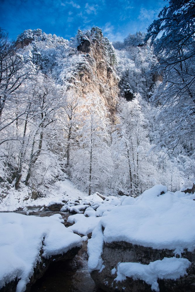 Photograph by Михаил Кравченко