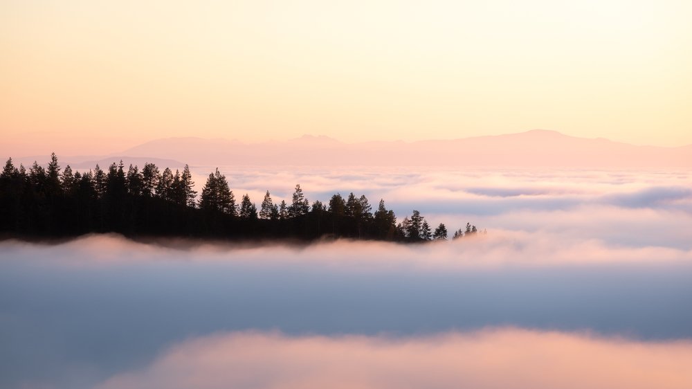 Фотография автора Daniel Knezevic