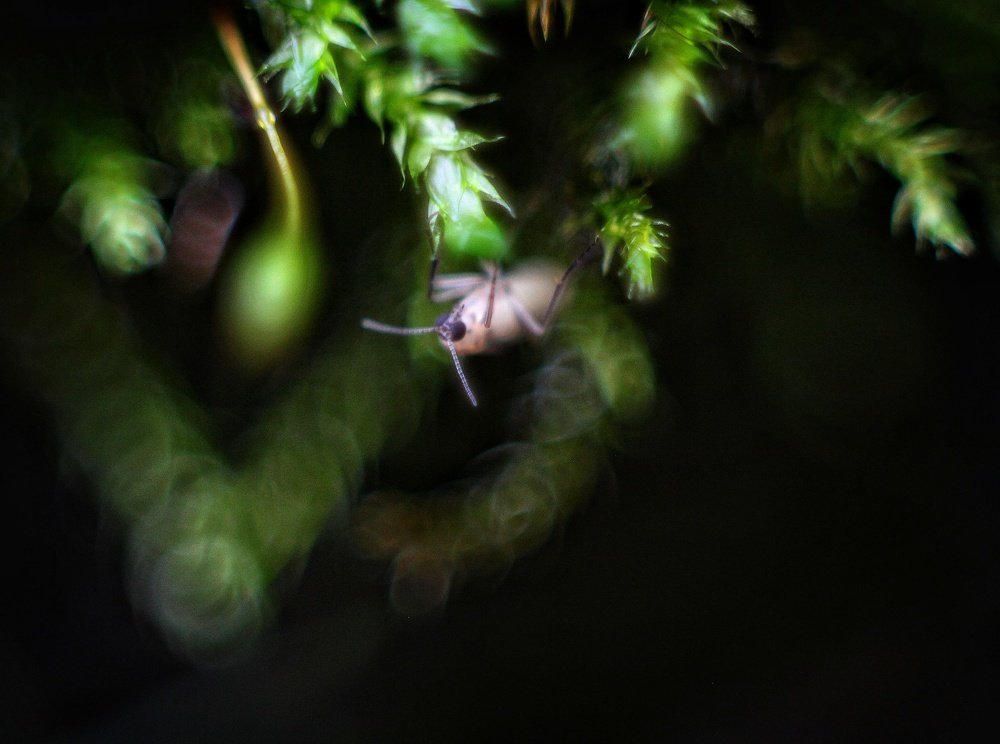 Photograph by Наталья Соловьева