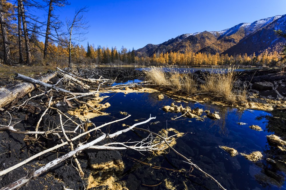 Золото на голубом