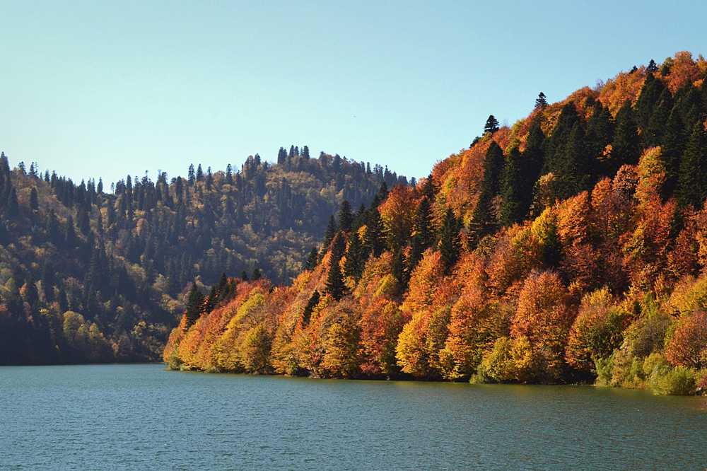 Oзеро Шаори в регионе Рача осенью