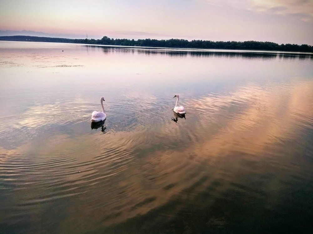 Photograph by Людмила Муравьева