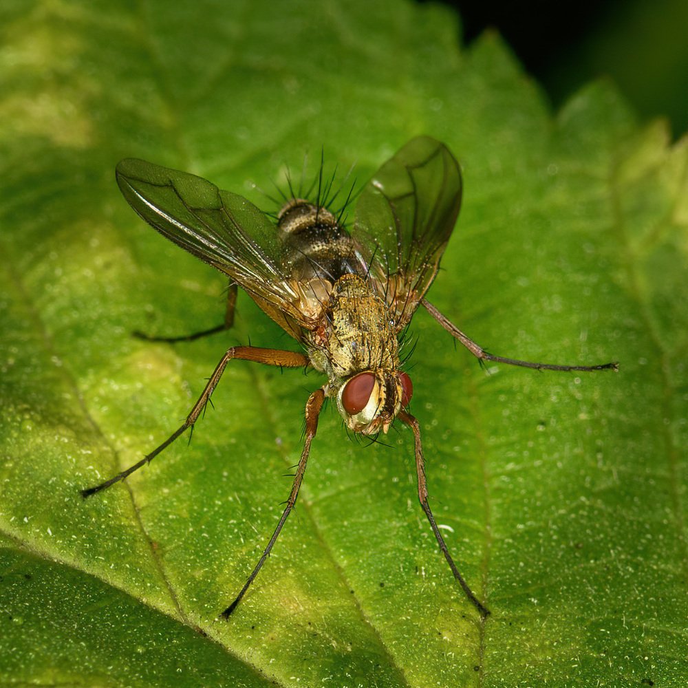 Фотография автора Владимир Зубков