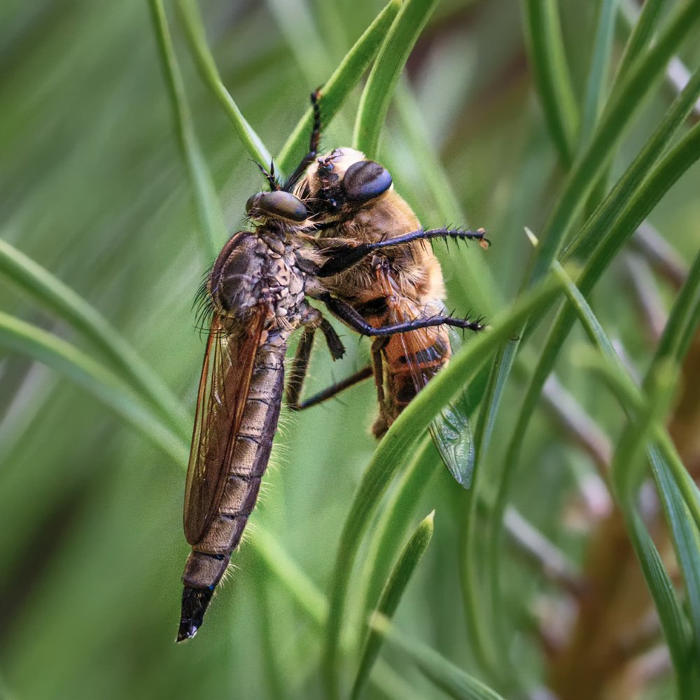 Фотография автора Владимир Зубков