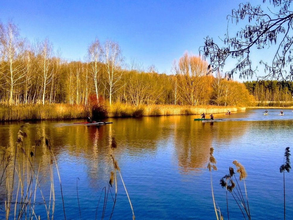 Photograph by Людмила Муравьева