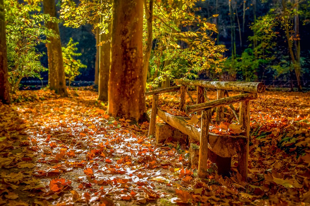 Photograph by Ivan Ukhov