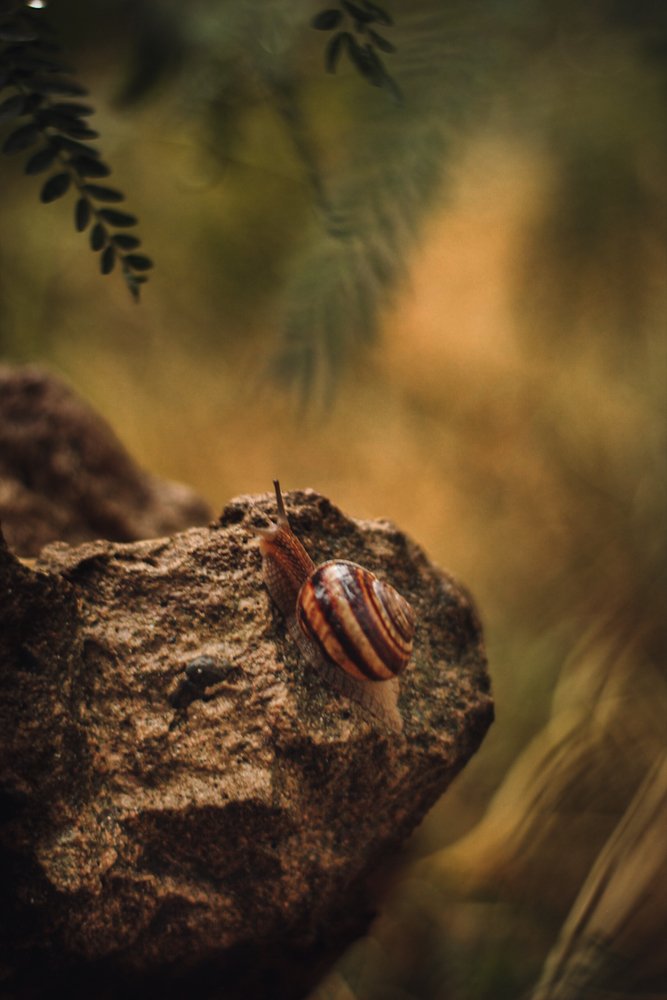 Photograph by Анна Тен