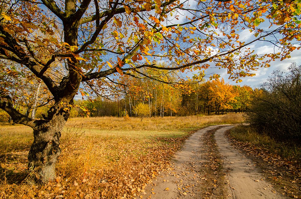 Photograph by Vasily Zhivitsa