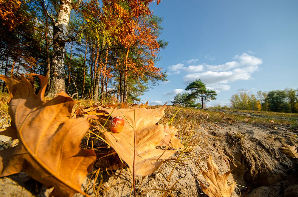 Photograph by Vasily Zhivitsa