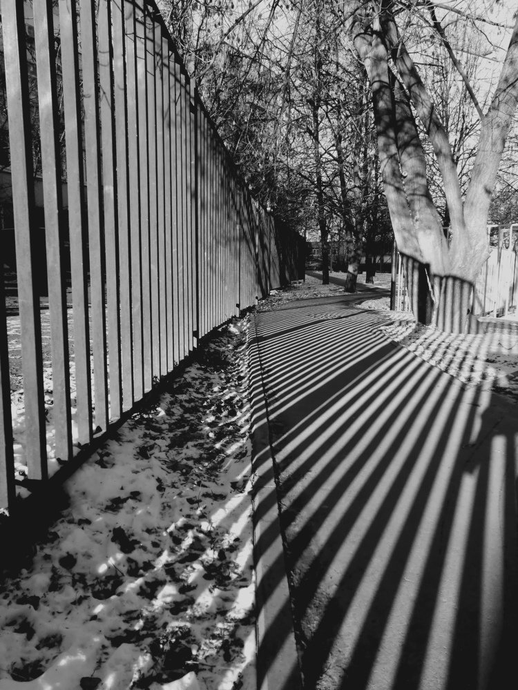 Photo #5360436
