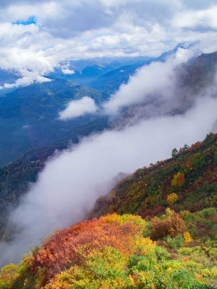 Photograph by Анна Бокарёва