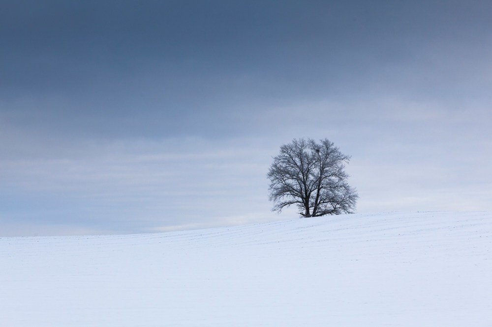 Photograph by Chev Photography