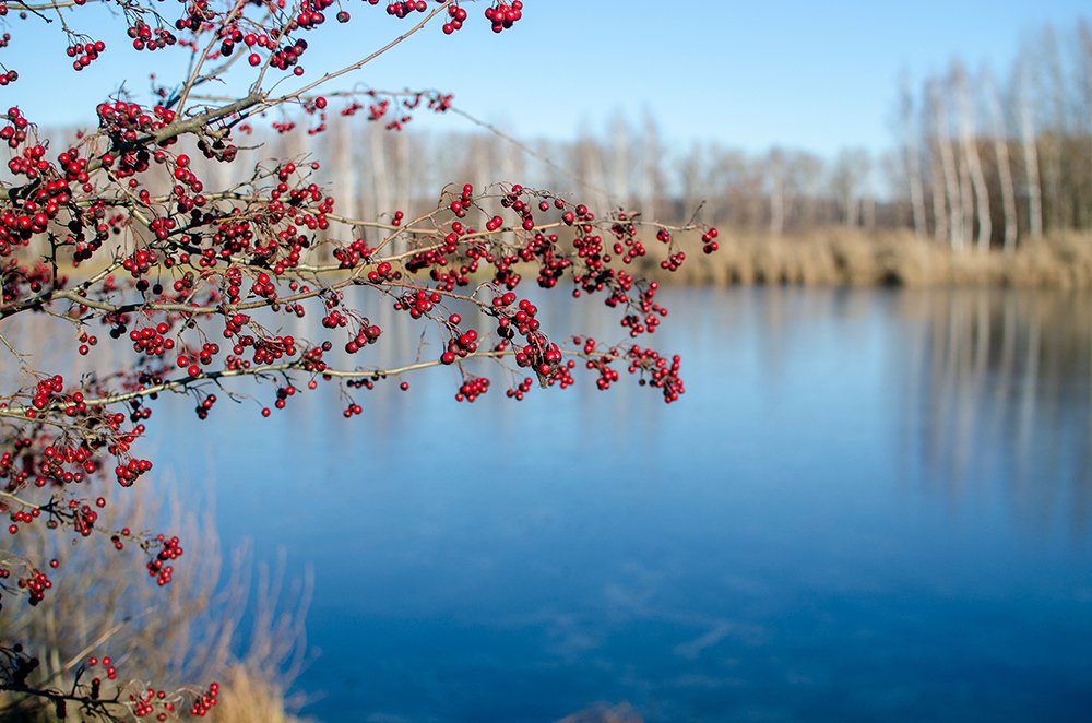 Photograph by Vasily Zhivitsa
