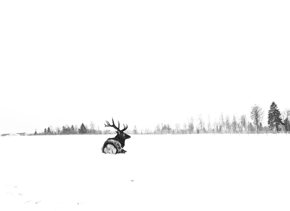 Freedom to be free