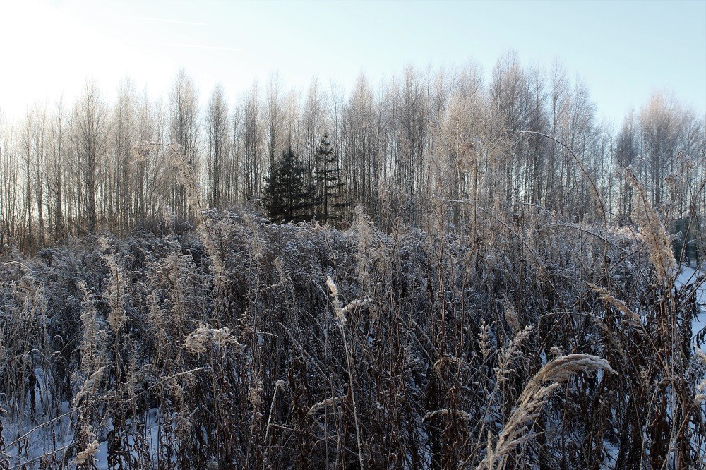 Photograph by Татьяна Фоевцева