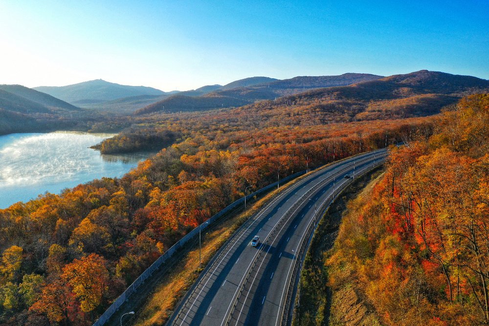 Золотая осень / Golden autumn