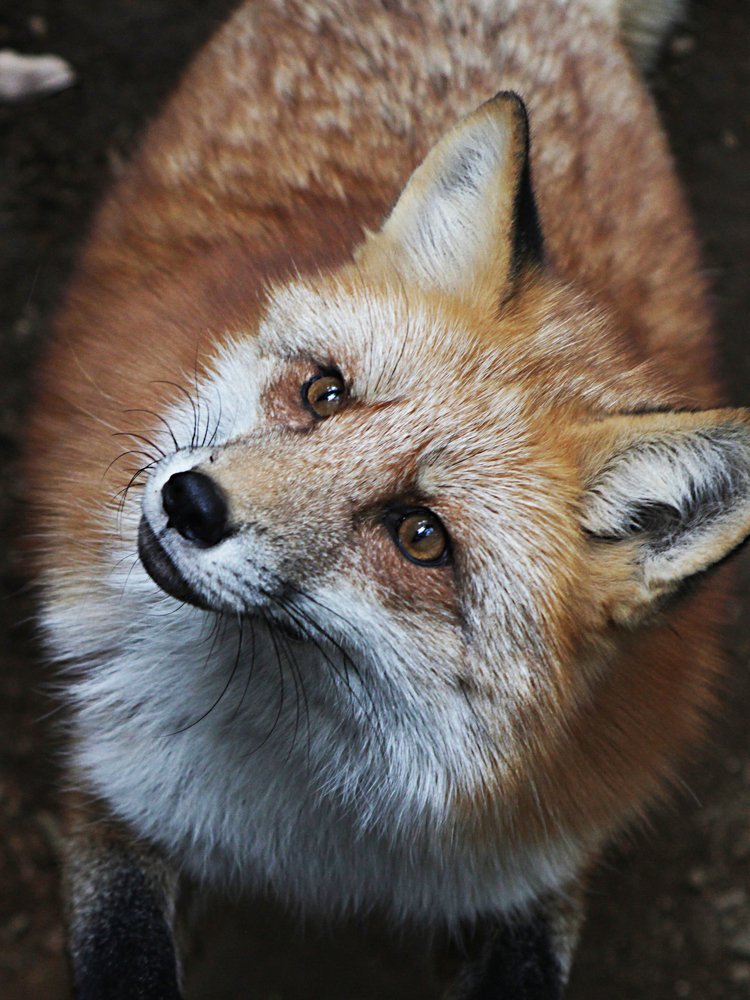 Photograph by Виктор Егоров