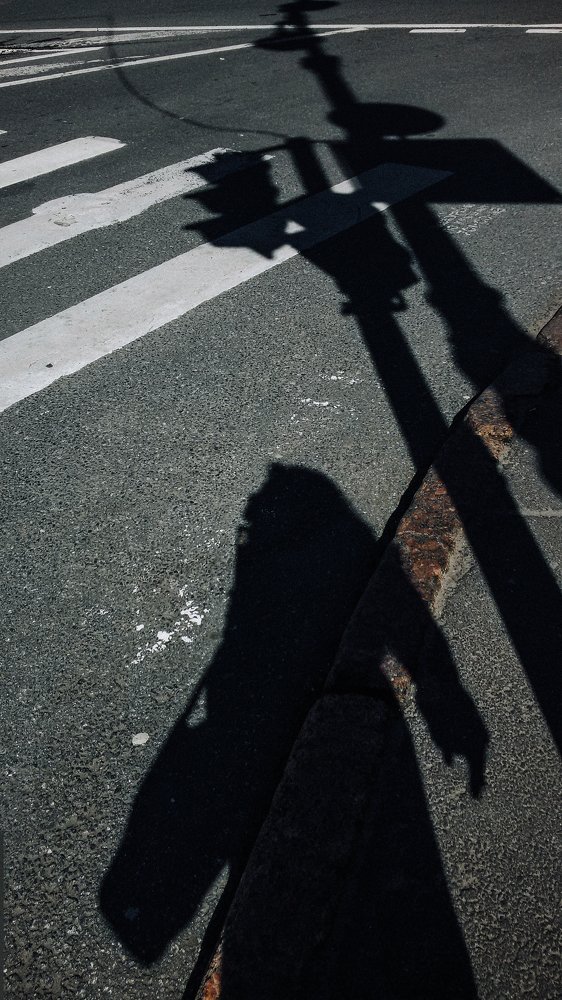 Photograph by Сафронова Любовь