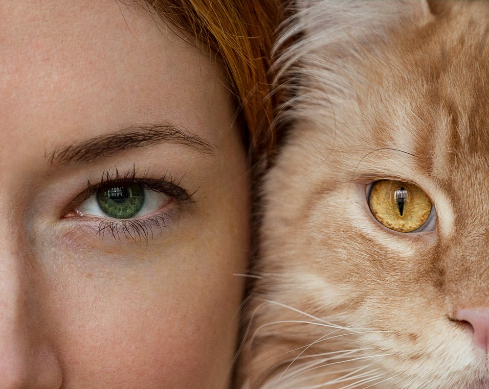 Photograph by Кирина Елизавета